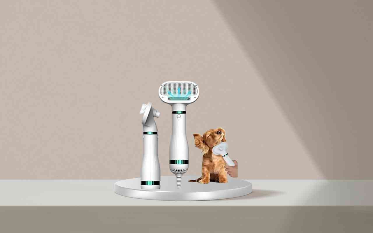 Come addestrare cani e gatti senza stress con Nice Pet: scopri la soluzione efficace