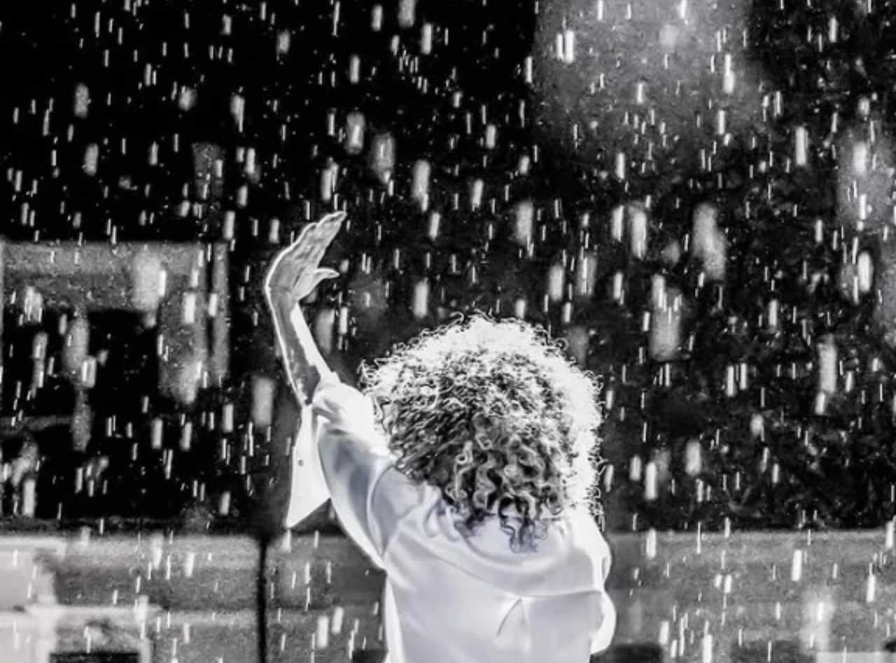 Le tue piante sono state distrutte dalla grandine? Ecco l’intervento immediato per salvarle