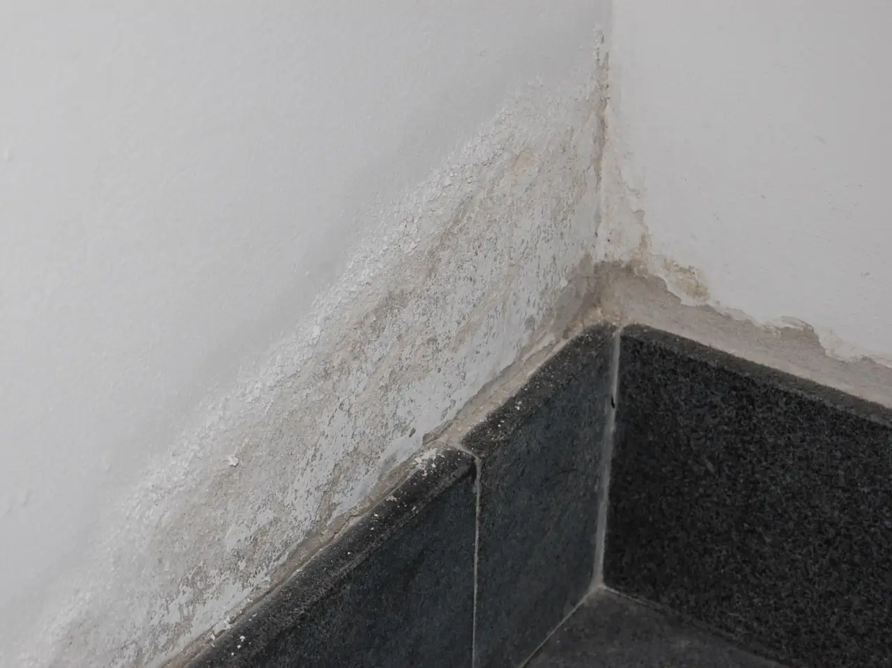 L’umidità in casa è troppo alta? Ecco il valore esatto in cui si forma la muffa
