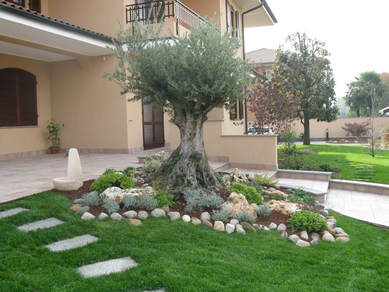 L’idea geniale per trasformare un albero secco in un elemento decorativo spettacolare in giardino